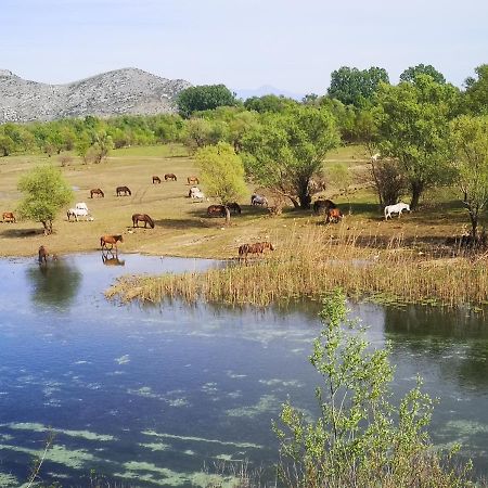 Wild Beauty House Skadar Lake Cetinje Exterior photo