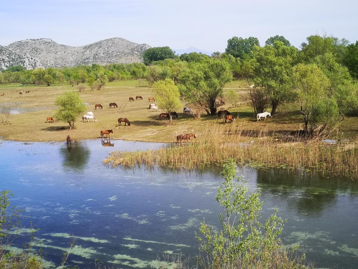 Wild Beauty House Skadar Lake Cetinje Exterior photo