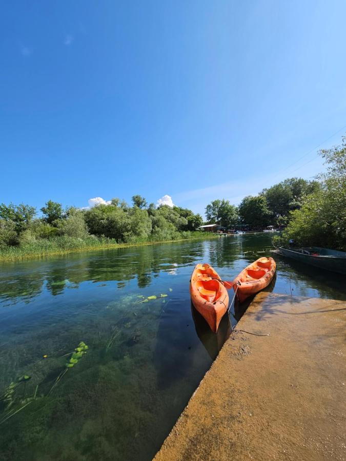 Wild Beauty House Skadar Lake Cetinje Exterior photo